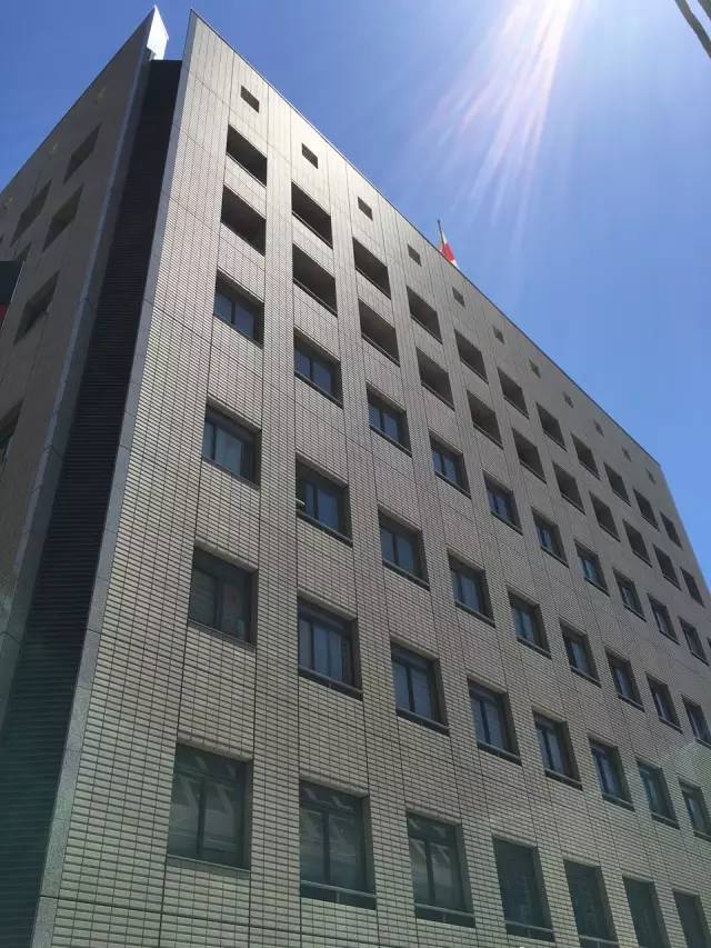 效果展示.jpg